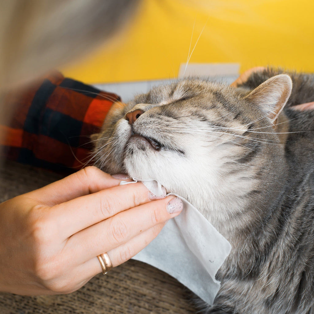 Furry Fresh Pet Wipes - Lavender Scented, 100 Extra Large Wipes-1
